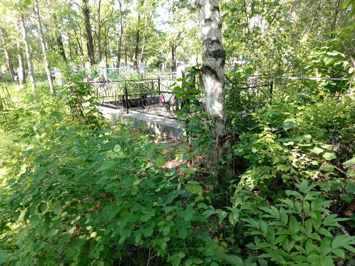 637f5b0e-4d9e-476c-8ac5-38469ef14b37 Ермышкин Василий Семёнович