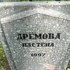 Дрёмова Настёна Неизвестно
