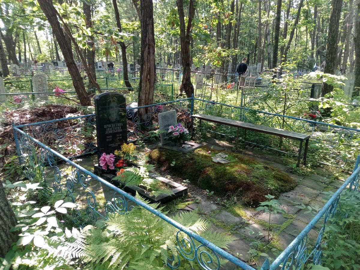 64ad2078-ba4d-4dc6-a6b1-b47b7b8ece91 Просветова Анастасия Леонтьевна