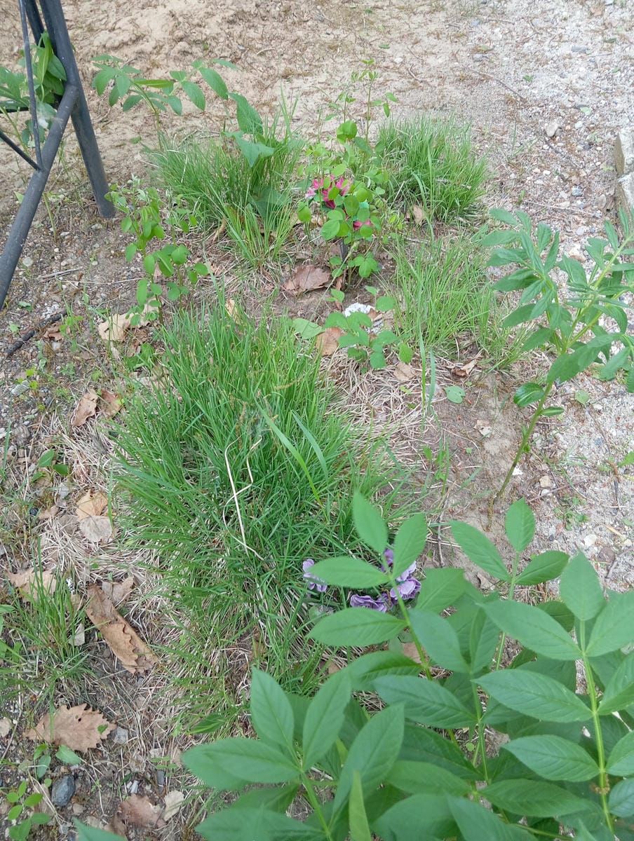 Неизвестно Неизвестно Неизвестно