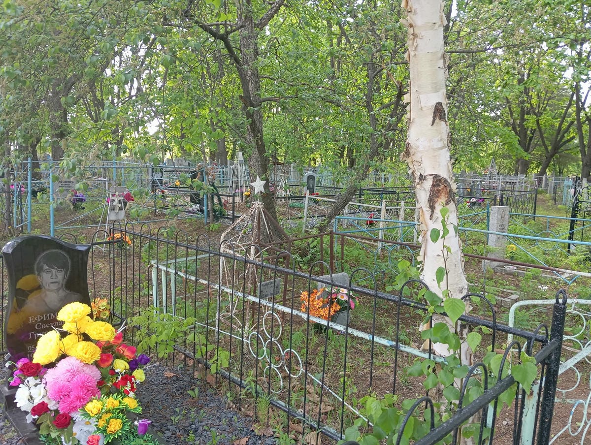 Осадчук Елена Дмитриевна