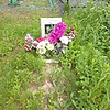 Омельяненко Надежда Ивановна