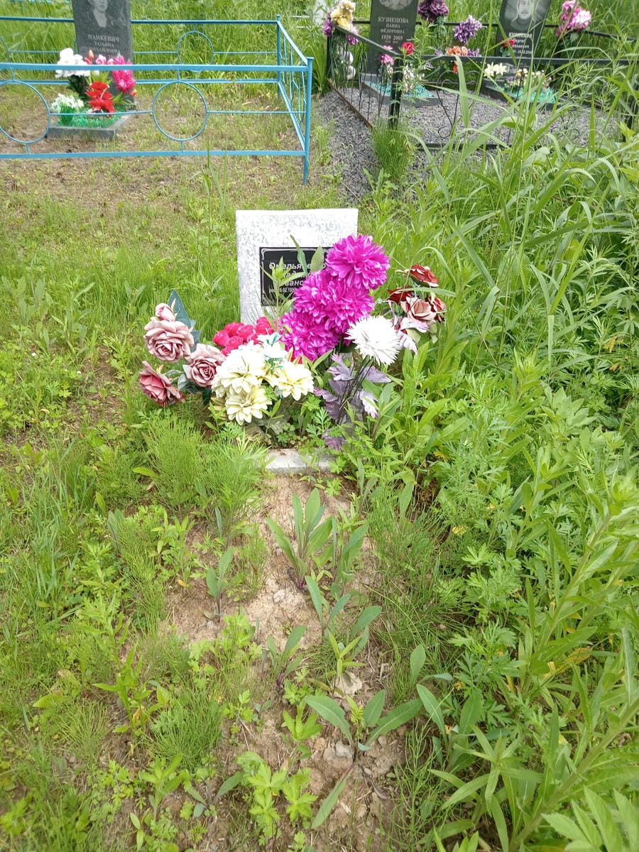 65d77962-7180-4f19-80b2-03ad51f02415 Омельяненко Надежда Ивановна