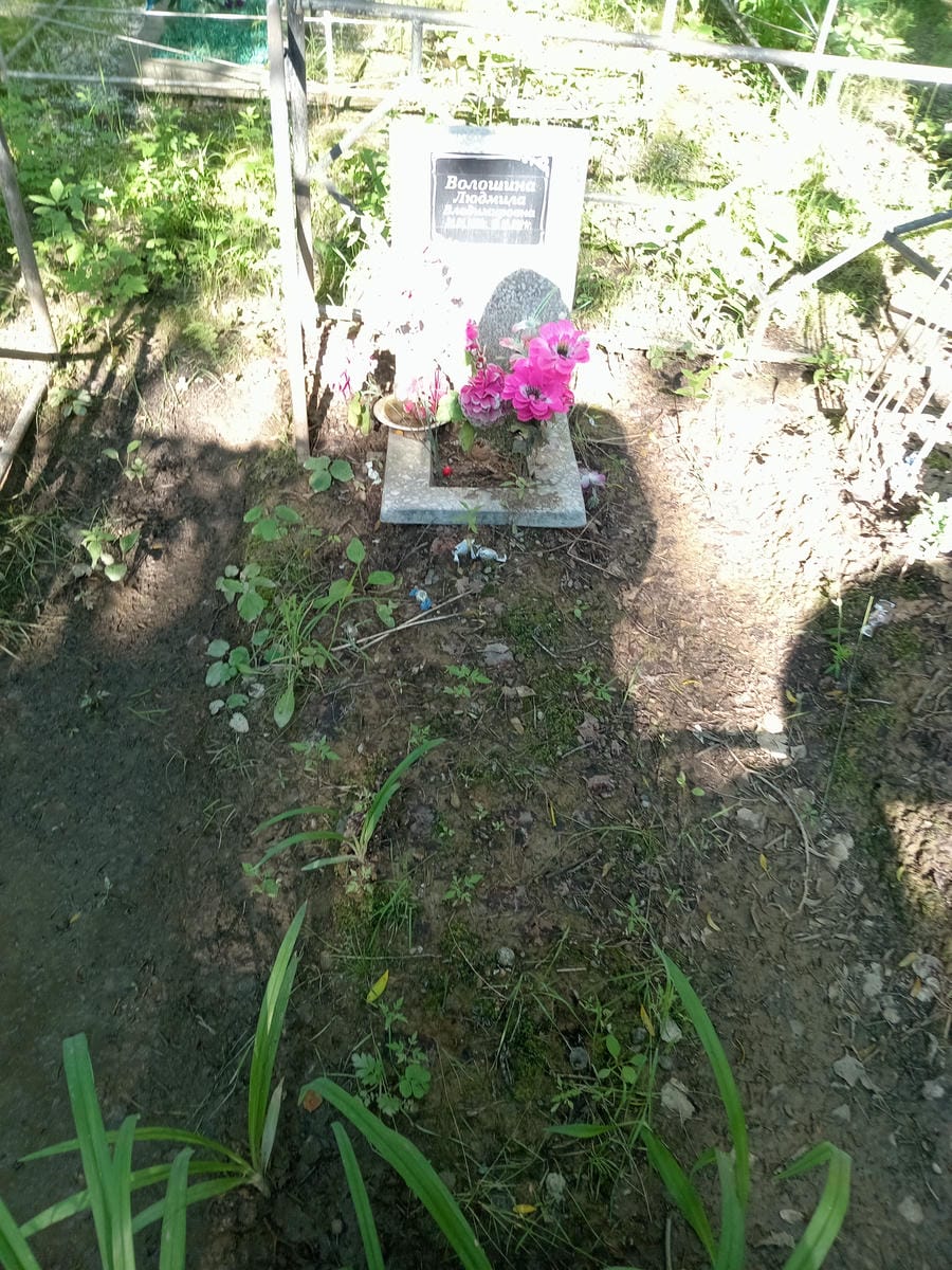 Волошина Людмила Владимировна