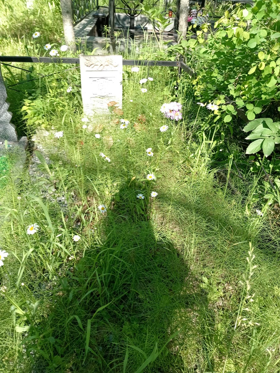 66c6f1ff-9a18-400f-9c54-327e825c8dd1 Грошенко Виктор Иванович