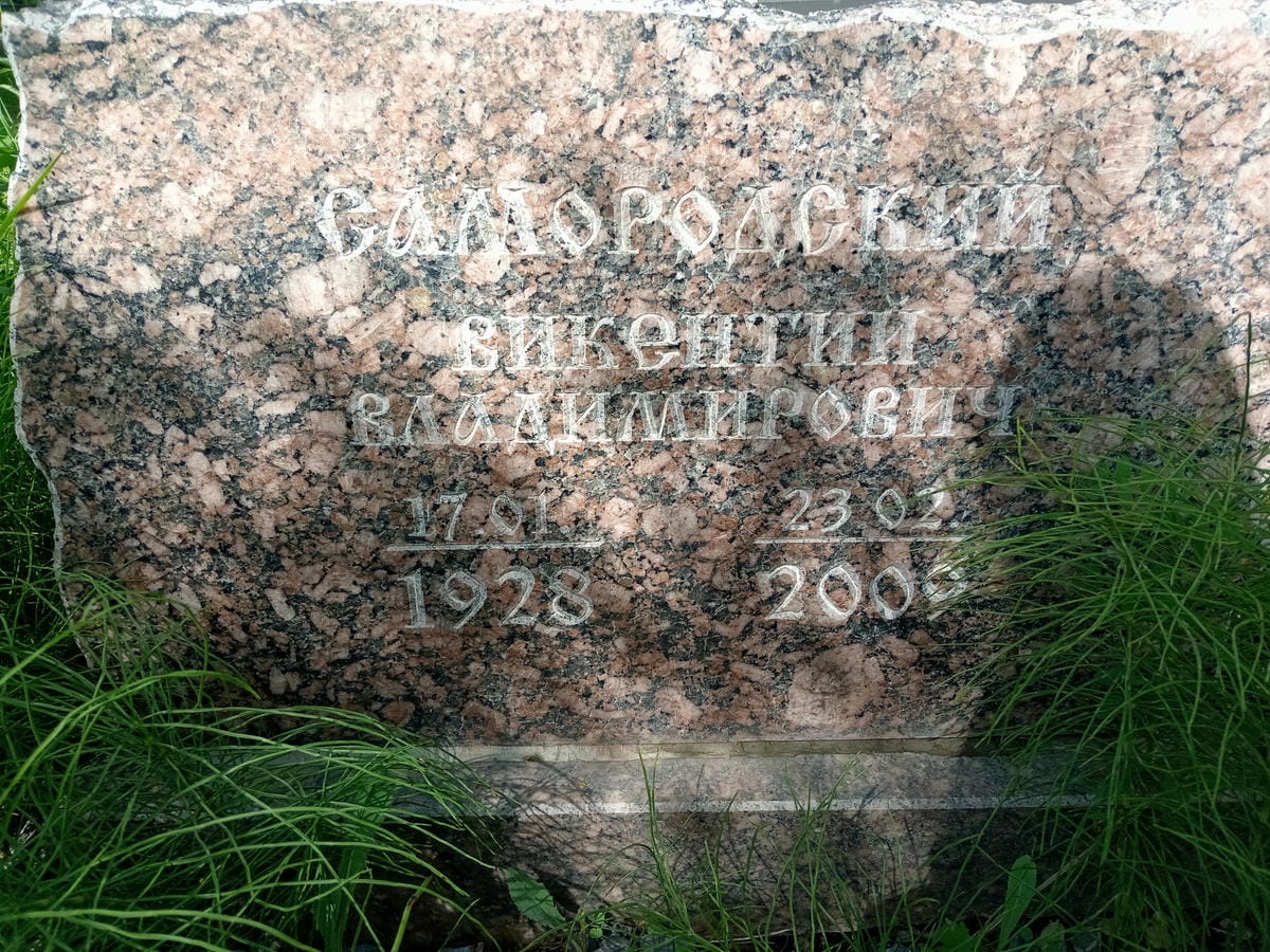 66f44d82-c9e3-4959-ba64-7df19897fbbb Самородский Викентий Владимирович