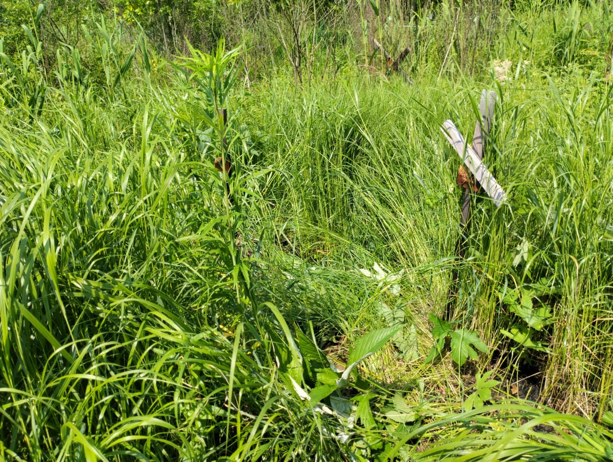 Неизвестно Неизвестно Неизвестно