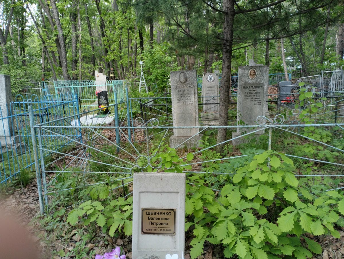 67c2c4c3-2a58-49fc-a8ef-0bb1c58d217c Шевченко Валентина Петровна