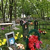 Пенченко Виталий Александрович