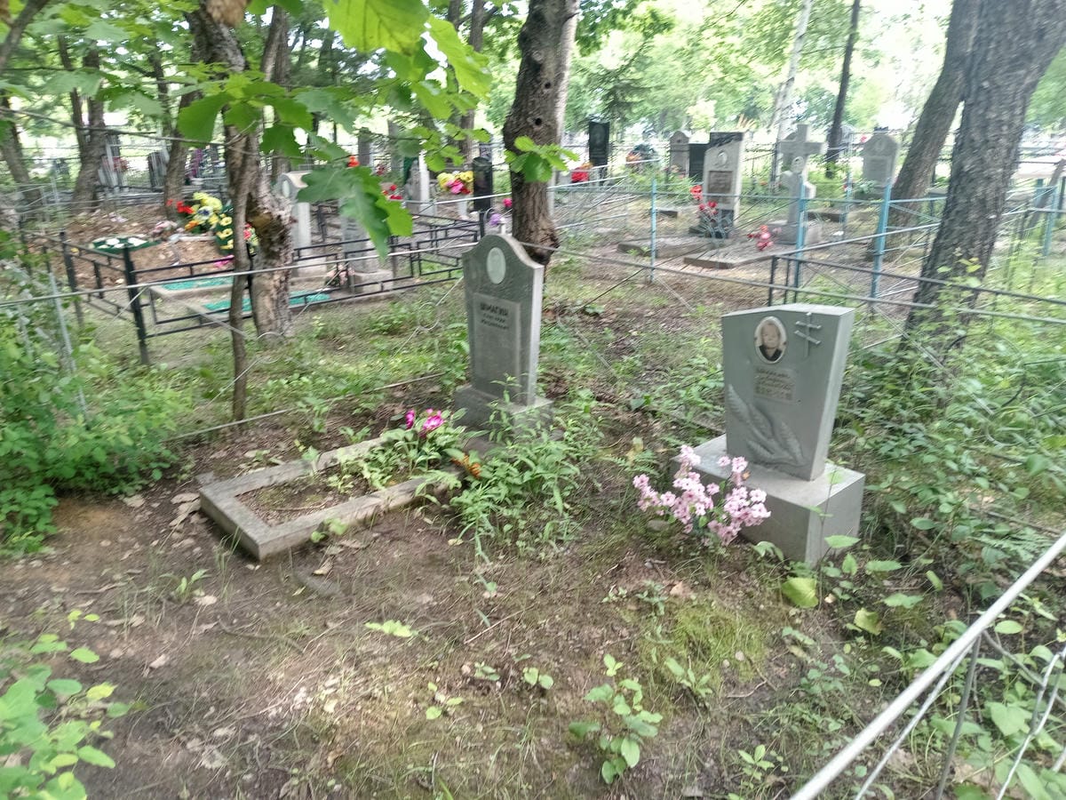 68521878-c9f4-4a3c-a3ee-f3fb33565eab Шмагина Анфиса Алексеевна
