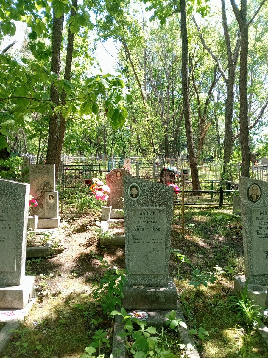 697d7356-6f62-4576-b2b7-7599294fae92 Лысак Анастасия Иосифовна