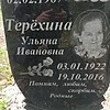 Терехина Ульяна Ивановна