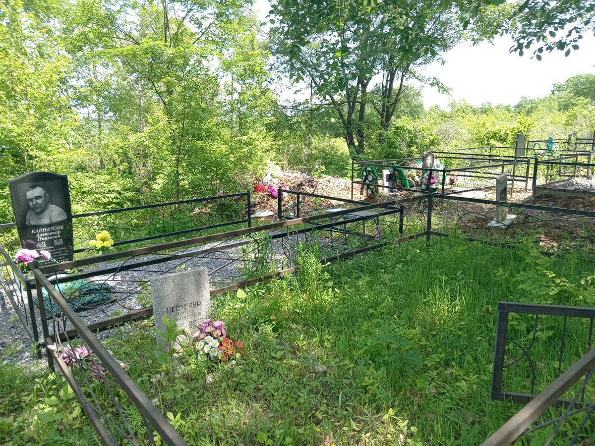 Нестерук Алена Сергеевна