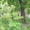 Жимовский Борис Александрович