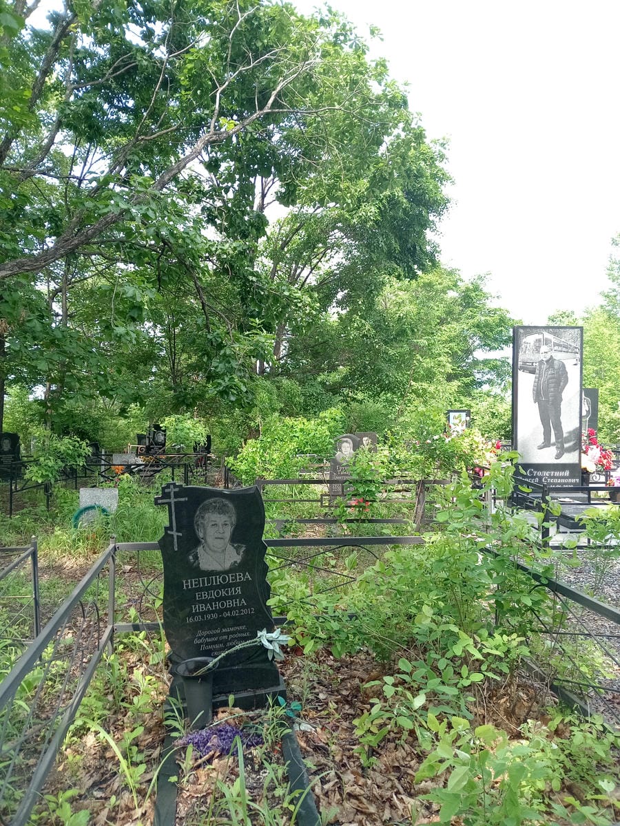 Неплюева Евдокия Ивановна