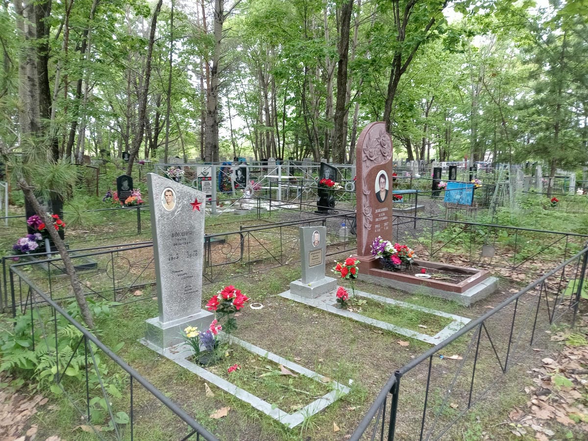 6b10b9a1-827a-4a77-a861-789ca180d8c1 Докшина Алла Петровна