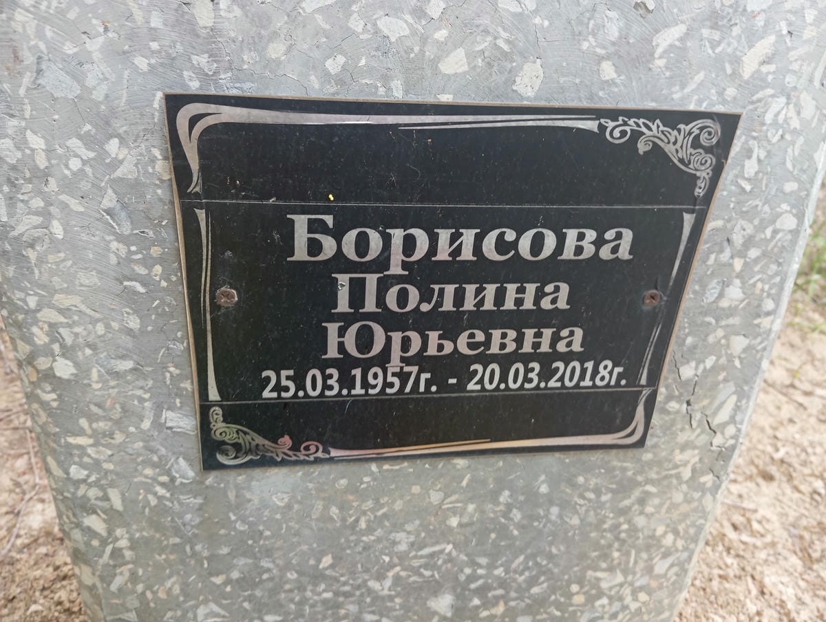 Борисова Полина Юрьевна