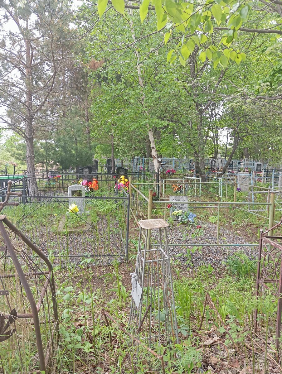 Абутова Анна Михайловна