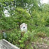 Панышева Людмила Васильевна