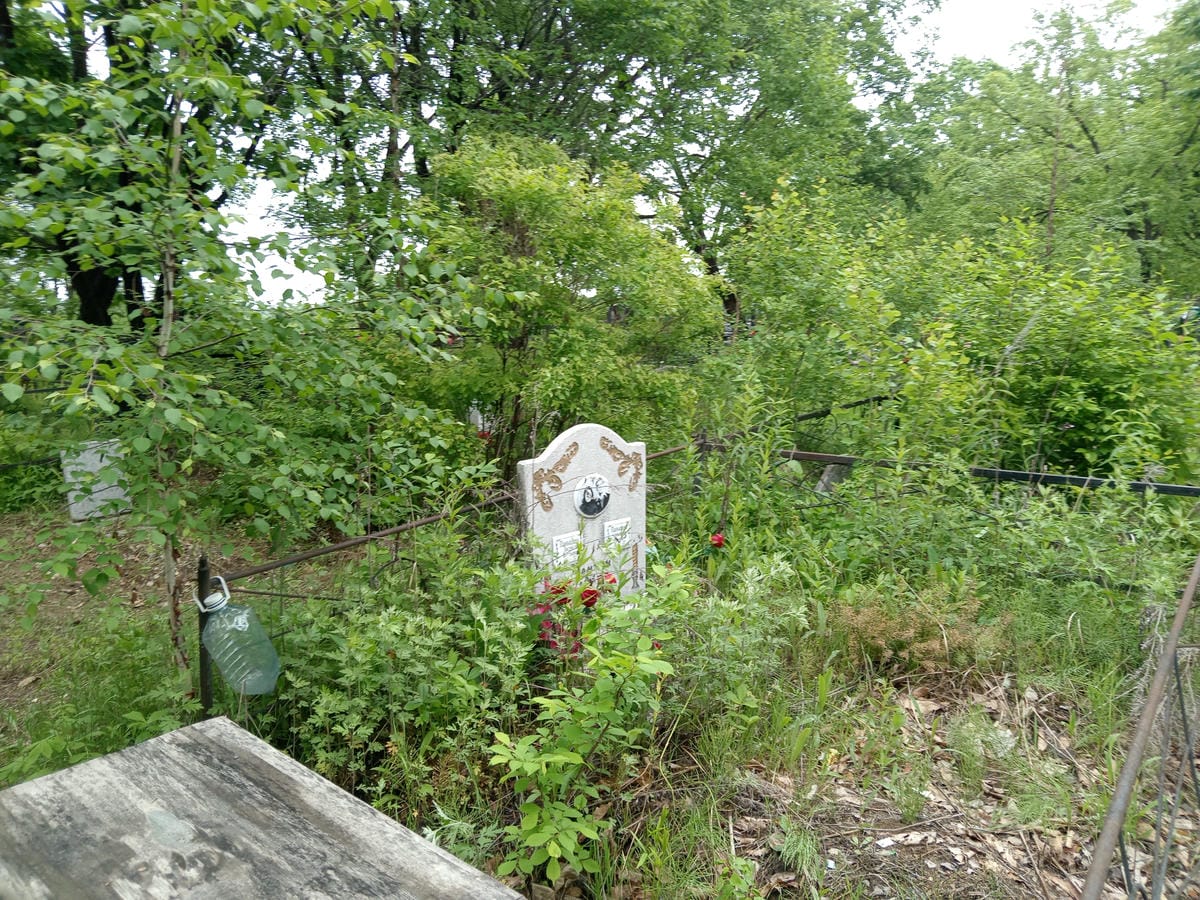 6d973b60-e7f0-493d-ac15-4366a06f1950 Панышев Александр Иванович