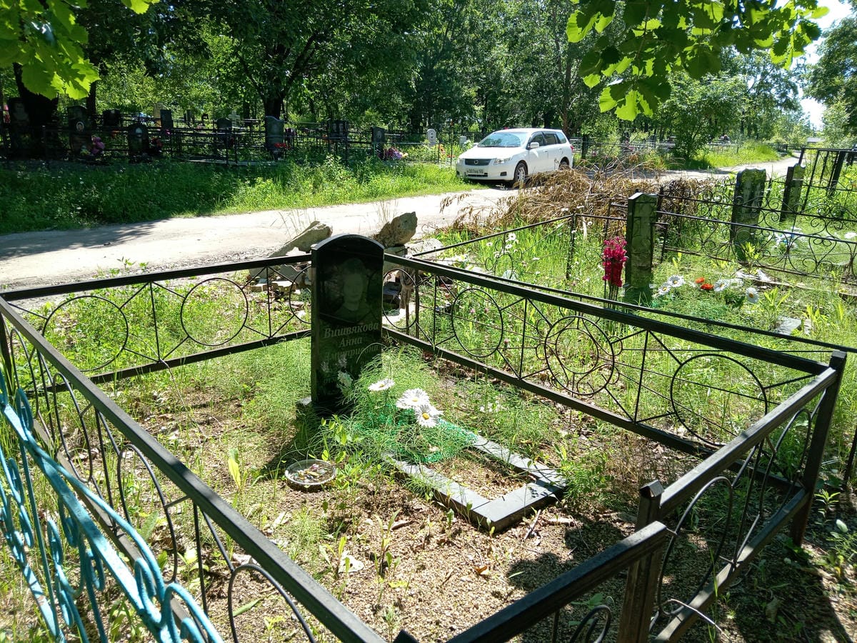 6d9ca807-97f0-4dae-bd04-ba336e8e069e Вишвякова Анна Дмитриевна