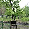 Неизвестно Неизвестно Неизвестно