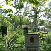 Возняк Александр Михайлович