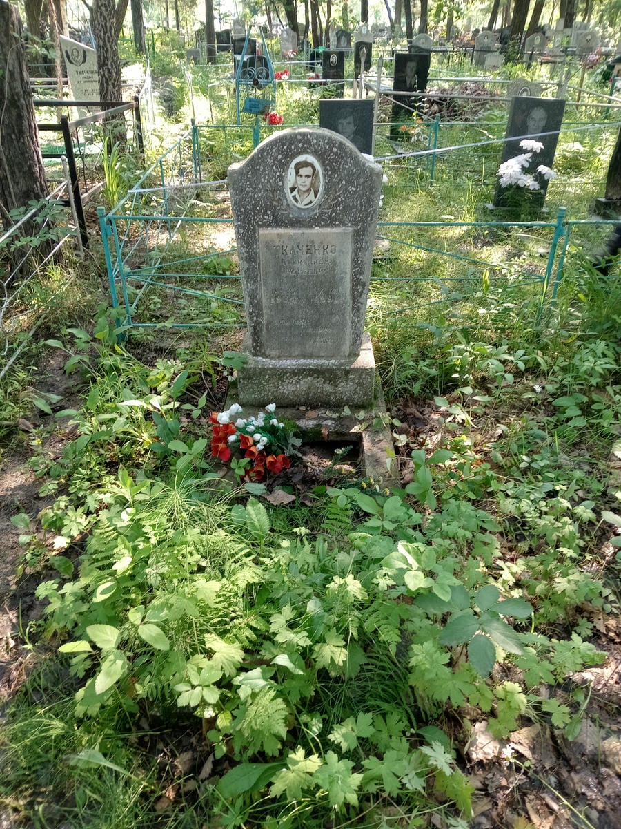 6e2093ae-5a20-4715-bdda-833da2e0d5f3 Ткаченко Александр Андреевич