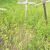 6eab2ab2-3bfb-4d28-b930-6c608b6aaf43 Неизвестно Неизвестно Неизвестно