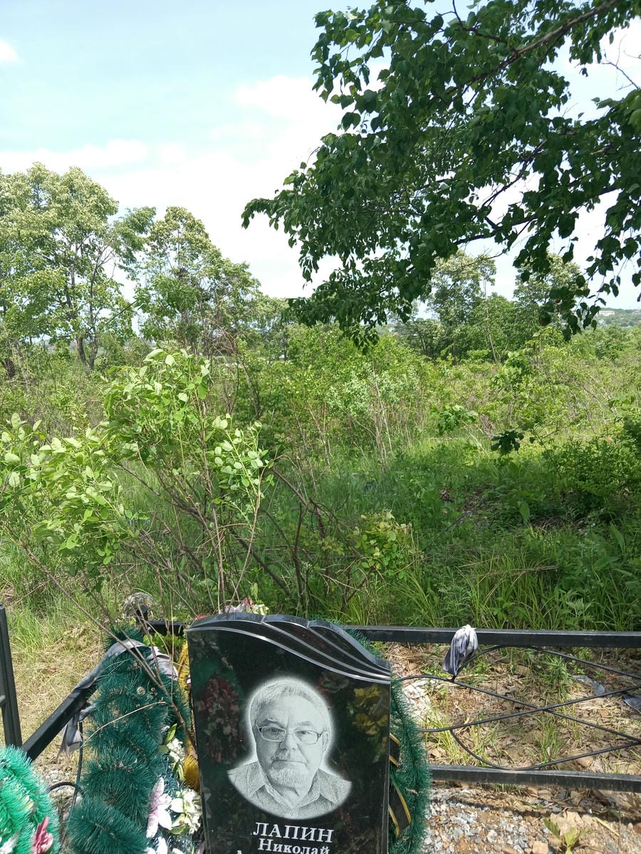 Лапин Николай Александрович