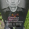 Синица Виктор Валентинович