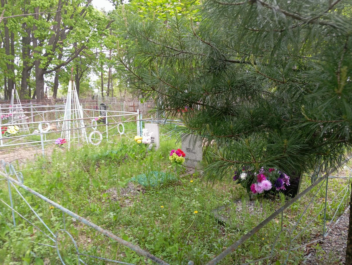 Реница Николай Дмитриевич