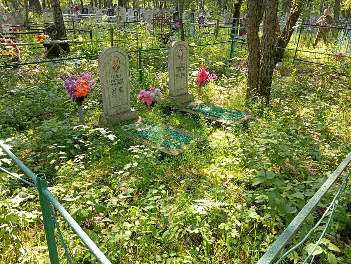 Тихонов Анатолий Яковлевич