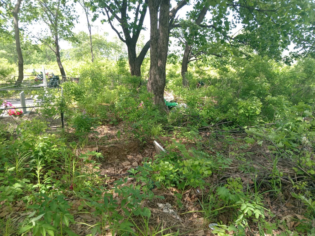 6ff70384-6325-4090-9cf6-658f673f0d94 Кисель Галина Алексеевна