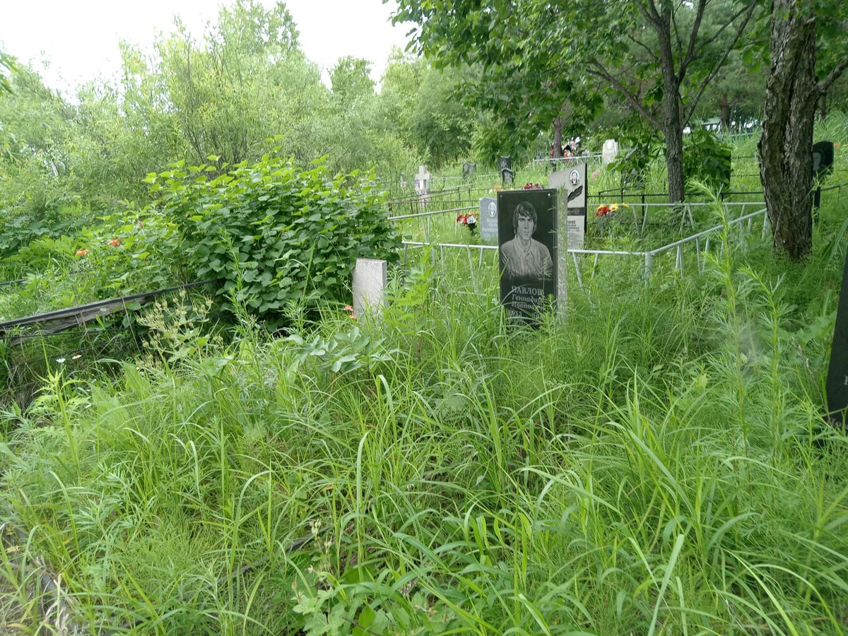 701ab3a6-5235-4d82-bf79-5c6dd3149723 Павлов Геннадий Иванович