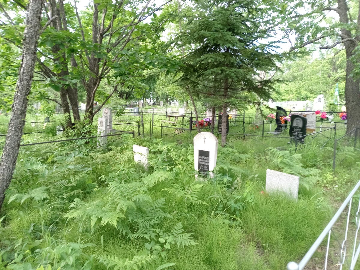 70bd8fbe-66e5-40b6-a86f-129ab39684dd Андреева Светлана Ивановна