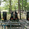 Куриная Анна Анатольевна