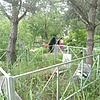 Гребенщиков Матвей Максимович