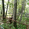 Булдыгерова Татьяна Васильевна