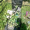 Журавлева Раиса Владимировна