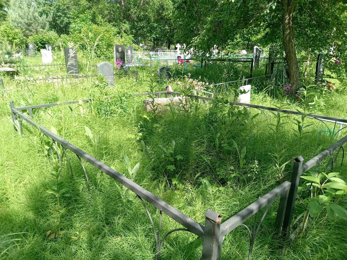 Самородский Викентий Владимирович