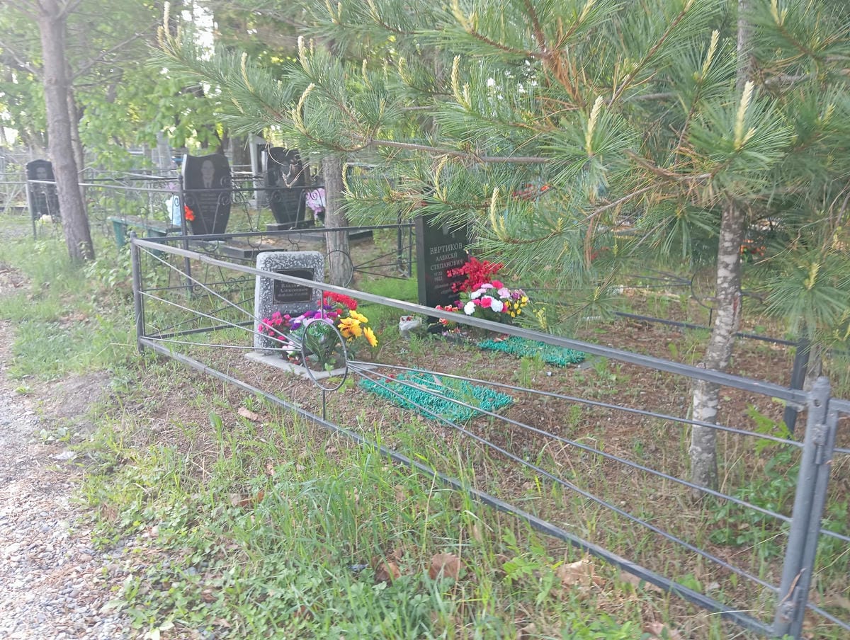 72c78ea9-47a0-4b90-9fa8-edcb4e2a738d Вертиков Алексей Степанович