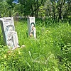 Дремова Светлана Николаевна