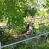 Березюк Дмитрий Игоревич