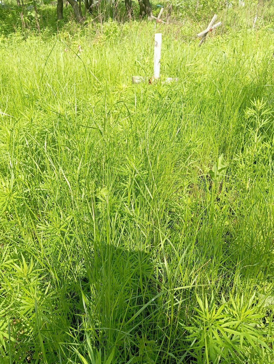 Неизвестно Неизвестно Неизвестно