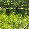 Зволинский Николай Станиславович