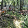Ломака Нина Константиновна