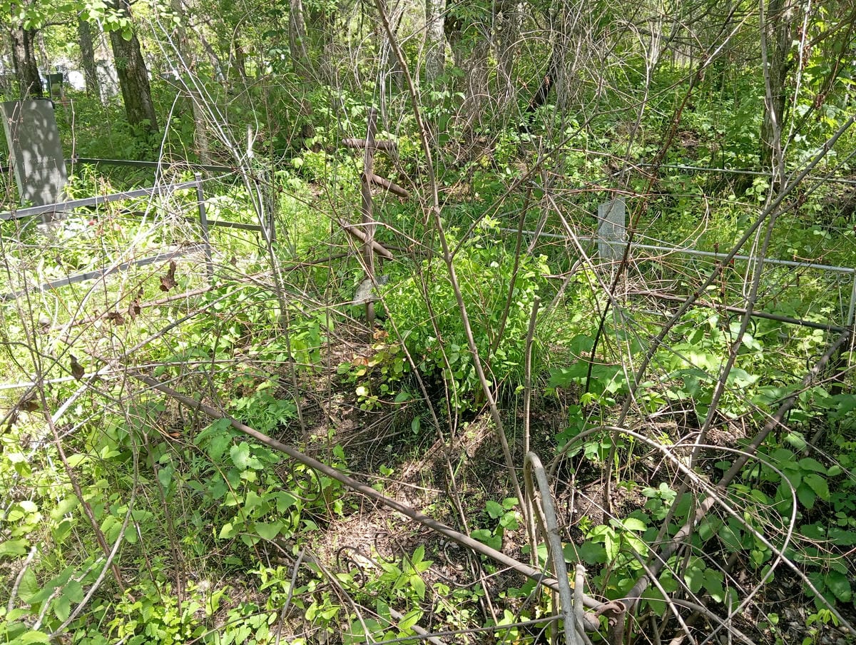 Чупрова Анастасия Ивановна