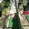 Черных Антонина Лукинична