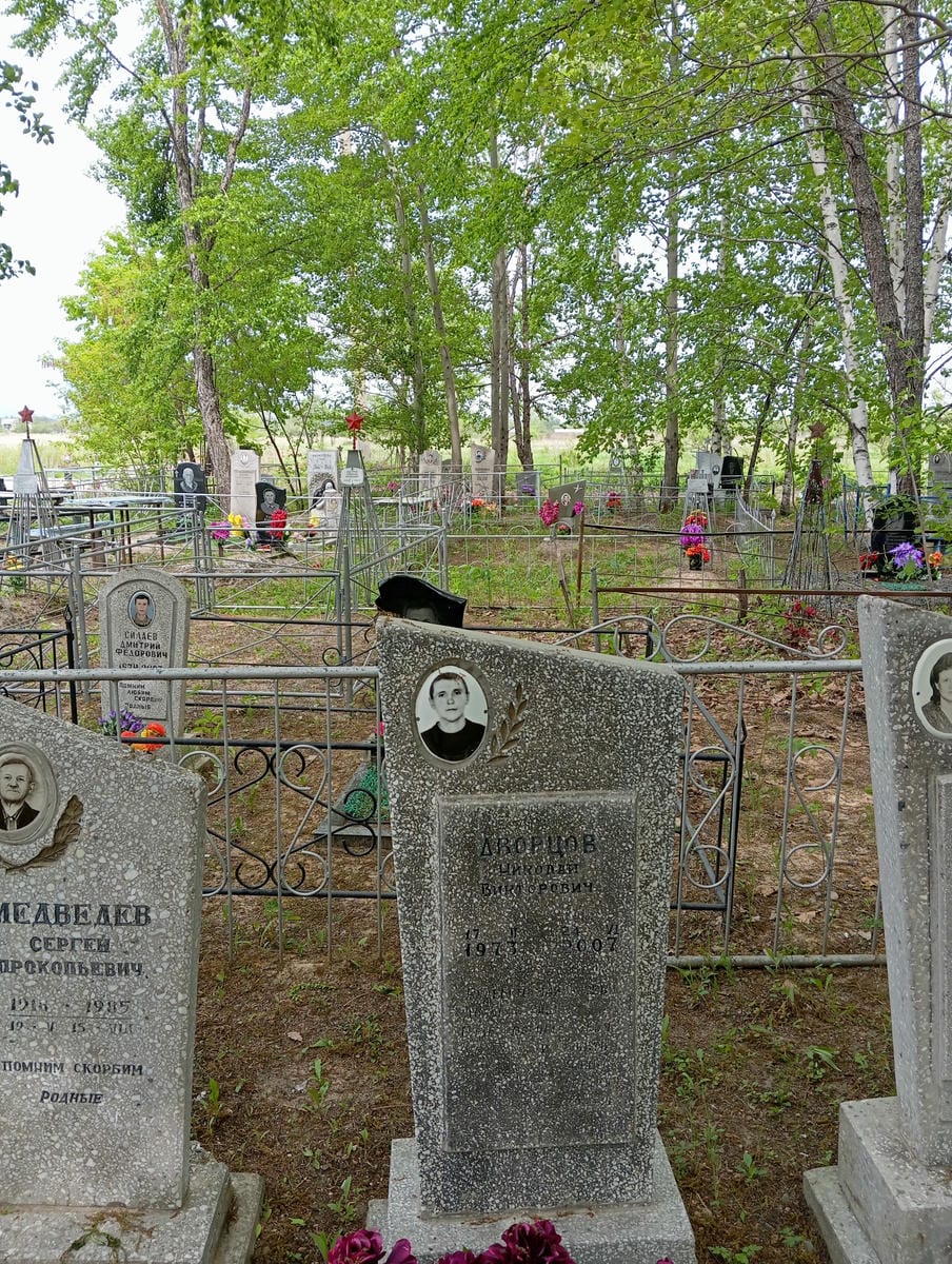 Дворцов Николай Викторович